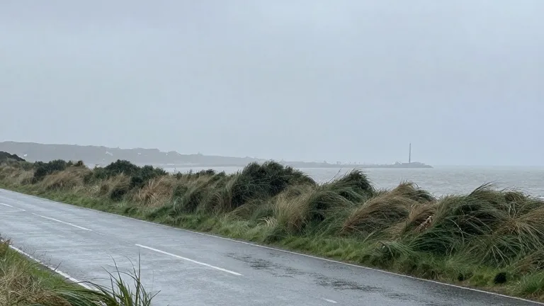 Illustration for: 31,000 homes lost power as Storm Boelo approaches northern UK