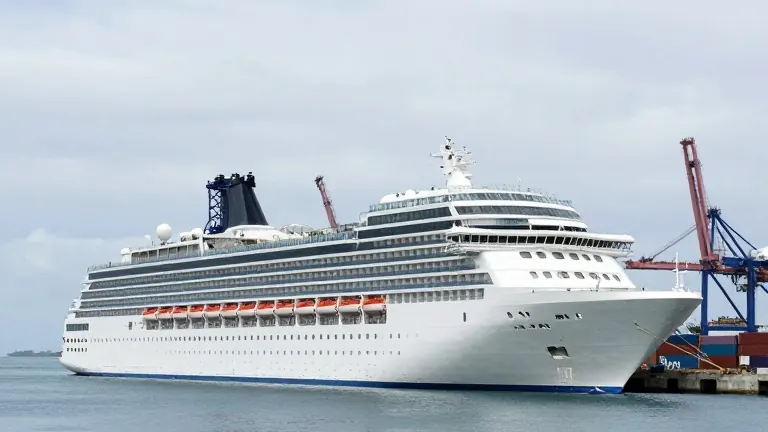 Illustration for: Cruise Ship Suspension: Fuel Costs Halt Residential Voyage